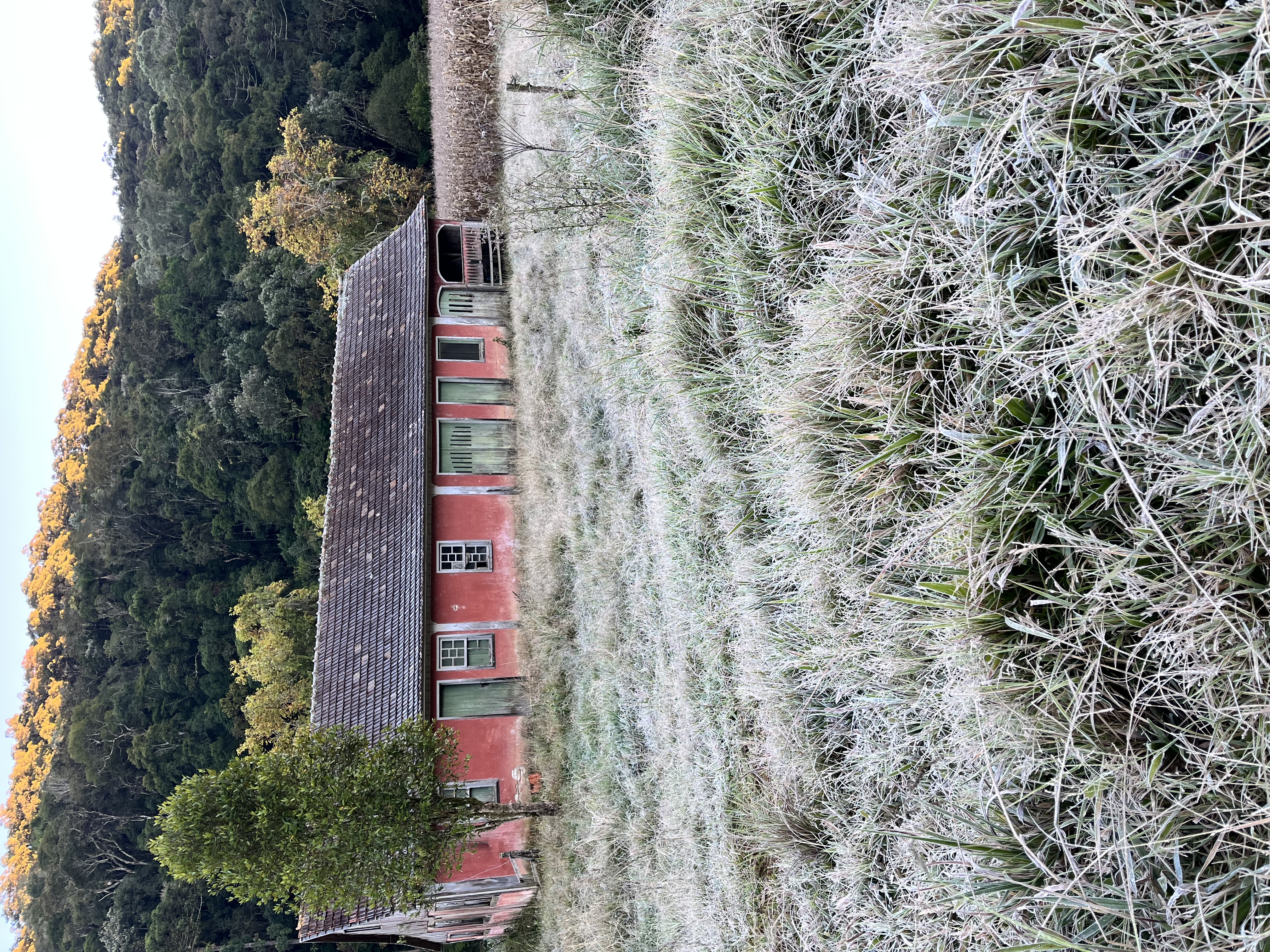 Casa rural e paisagem com geada em Rancho Queimado
